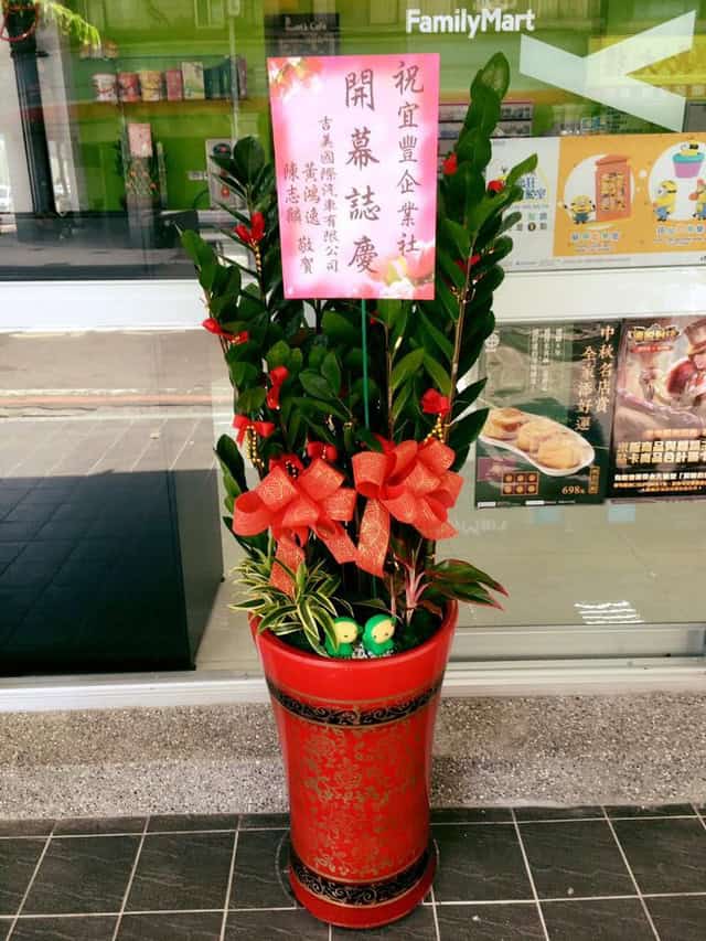 樹