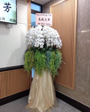 帝王香菇蘭花球
