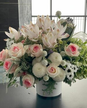 水盆花