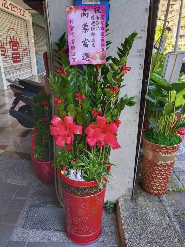 競選總部金錢樹