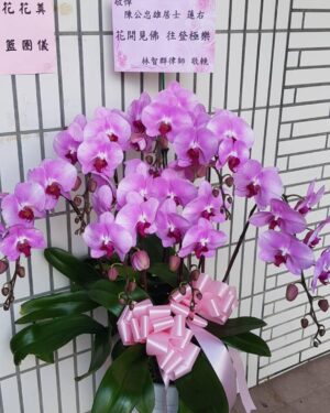 追思蘭花