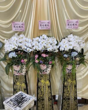 御品麗緻蘭花