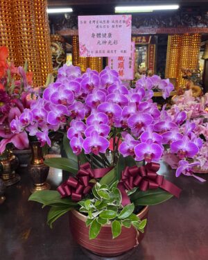 臺灣省城隍廟答謝城隍爺