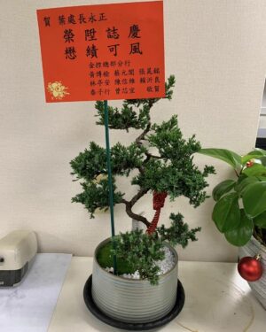 銀行主管送盆栽