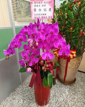 銀行榮任榮陞蘭花