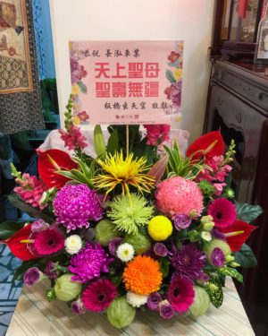 水盆花