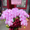 龍山寺華陀仙師聖誕蘭花