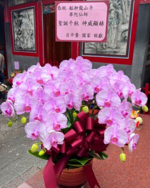 龍山寺華陀仙師聖誕蘭花