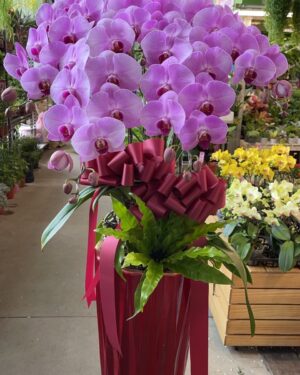 佳節花禮