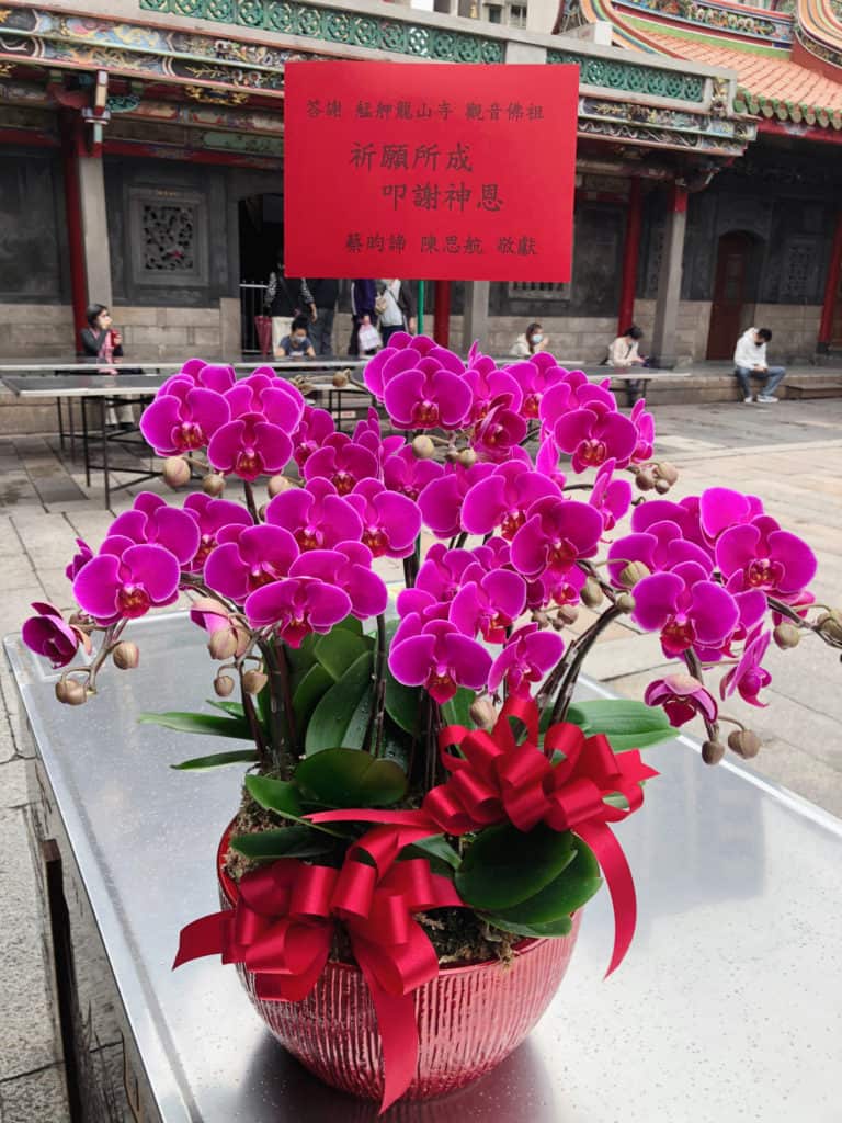 觀音佛祖還願蘭花