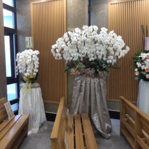 扇形蘭花出租