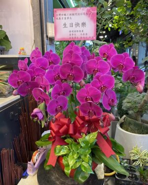 生日快樂蘭花