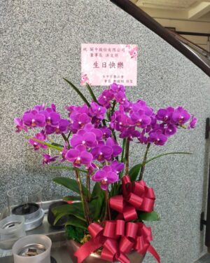 董事長生日快樂蘭花