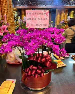 答謝臺灣省城隍廟-城隍老爺還願蘭花