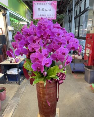 機械展展覽蘭花