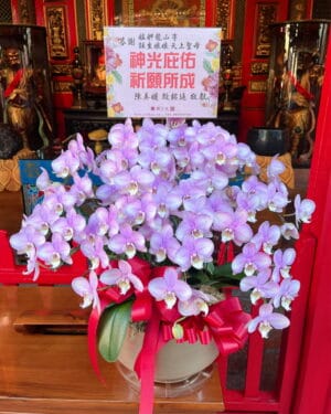 還願蘭花