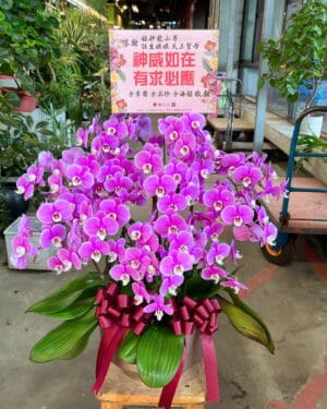 艋舺龍山寺天上聖母