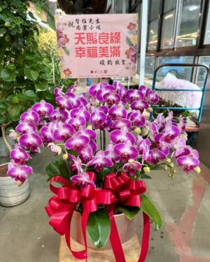 結婚蝴蝶蘭花