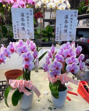 新北殯儀館靈桌蘭花