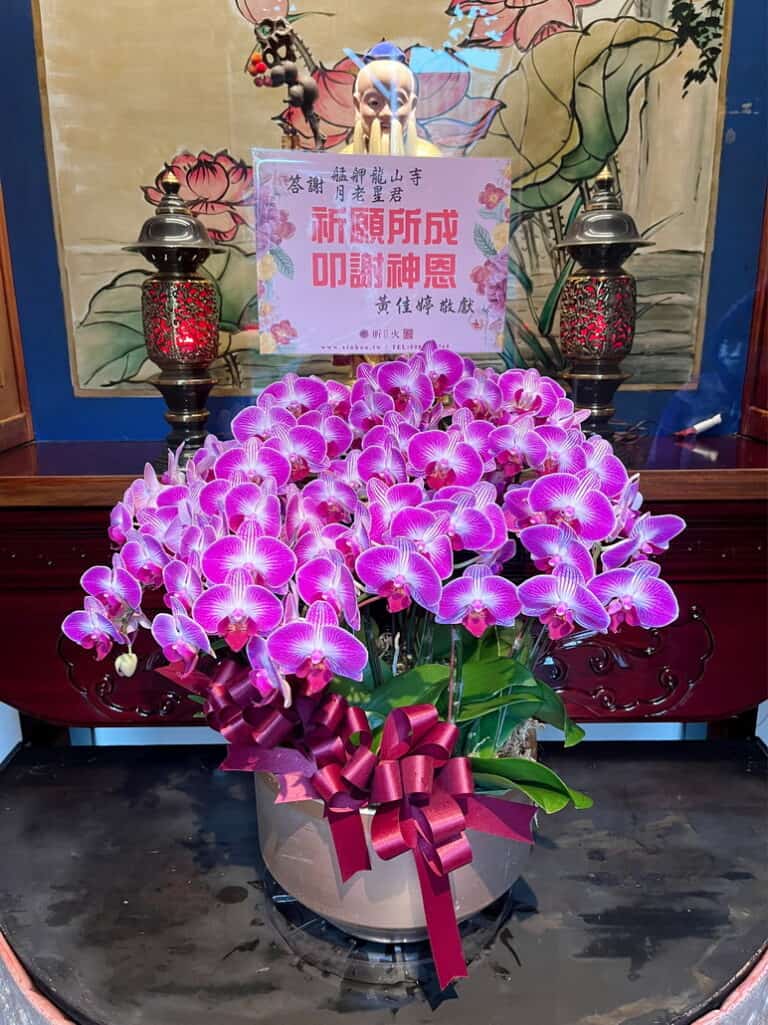 月老星君還願蘭花