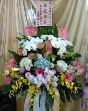 羅馬柱花籃