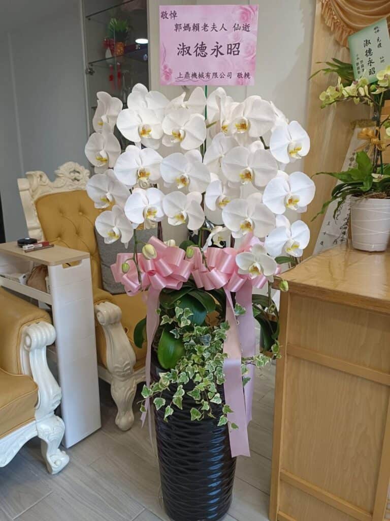 白色追思蝴蝶蘭