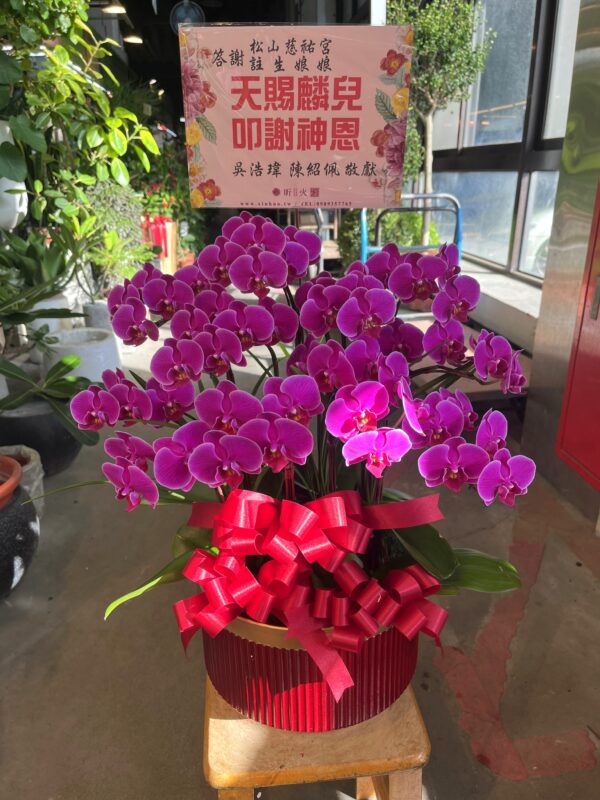 答謝註生娘娘蘭花