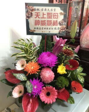 媽祖聖誕盆花