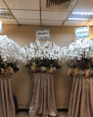 告別式扇形蘭花