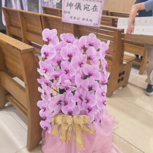 二殯出租走道粉色蘭花 1