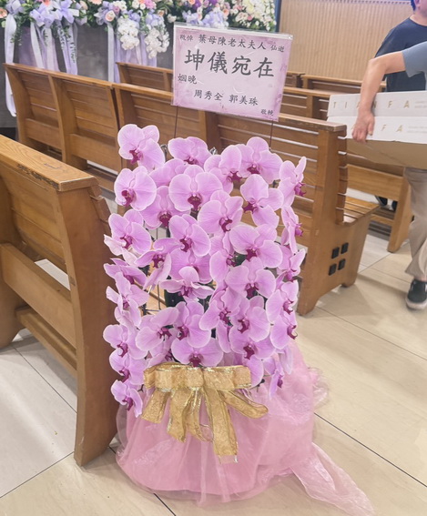 二殯出租走道粉色蘭花 1 二殯出租走道粉色蘭花 1