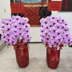 公司開幕喜氣蘭花送禮推薦
