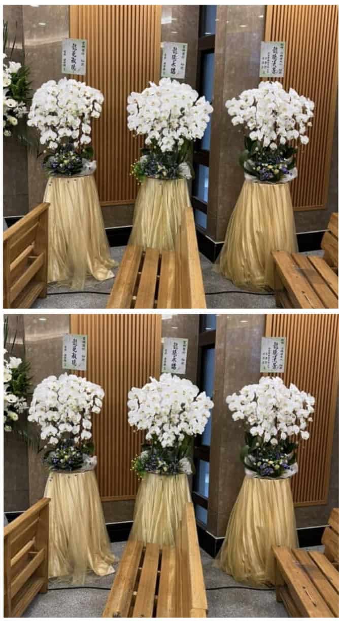 出租蘭花