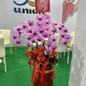 南港展覽館半導體展蘭花盆栽