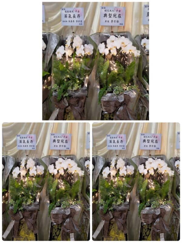 台北喪事蘭花出租