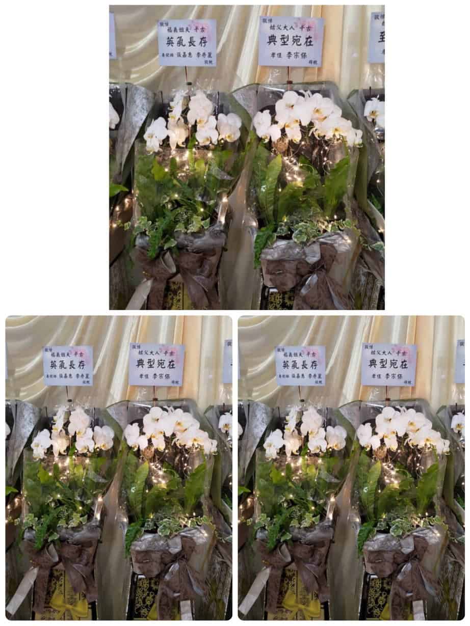 台北喪事蘭花出租