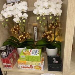台北懷愛館靈桌小蘭花