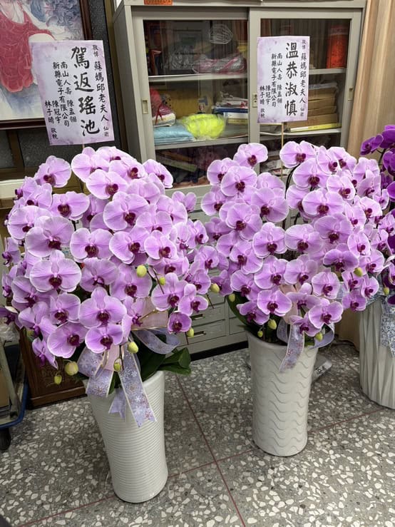 告別式蝴蝶蘭63 麗緻文化會所安靈蘭花一對 告別式蝴蝶蘭63 麗緻文化會所安靈蘭花一對