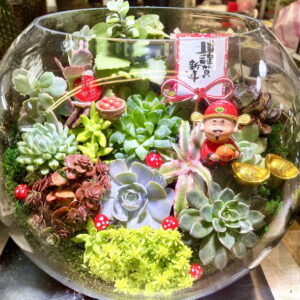 新春迎財神多肉盆栽
