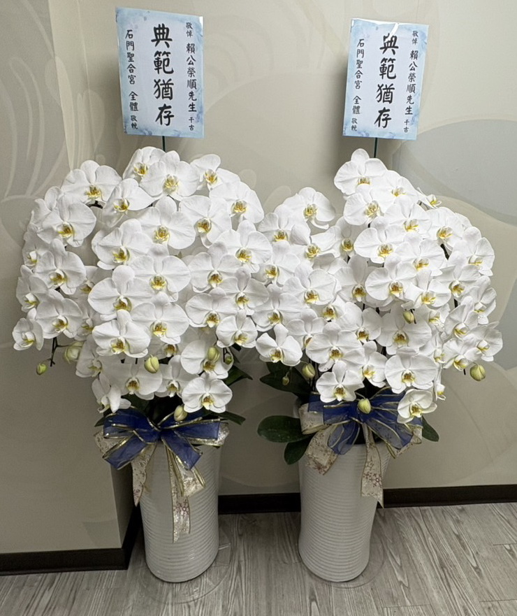 告別式蝴蝶蘭65-新北板橋普照佛堂安靈蘭花一對