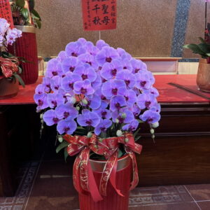寺廟蝴蝶蘭37 恭祝松山慈祐宮媽祖娘娘生日蘭花