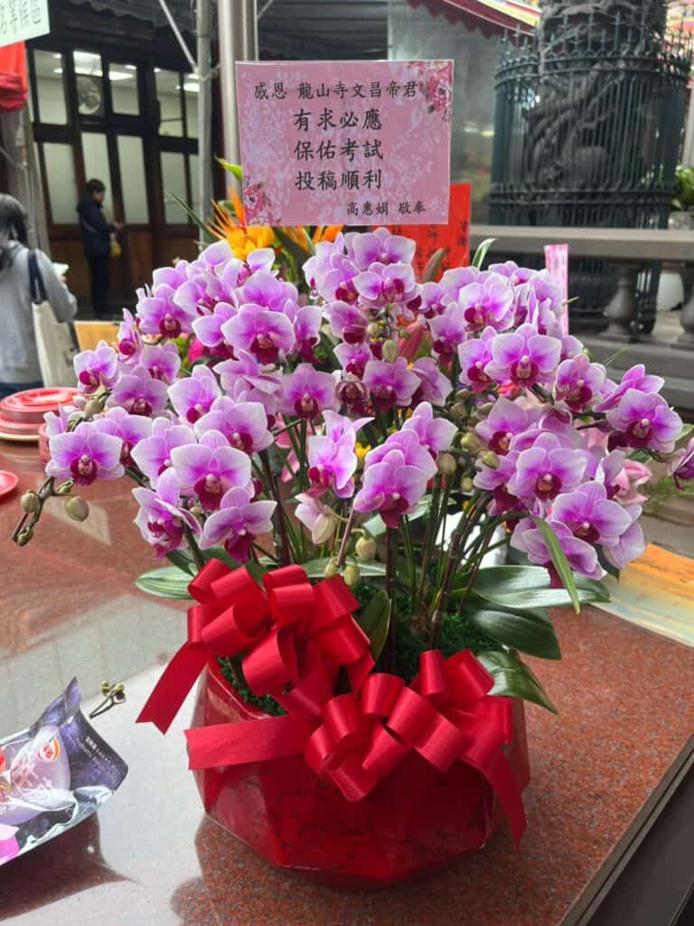 心想事成還願蘭花