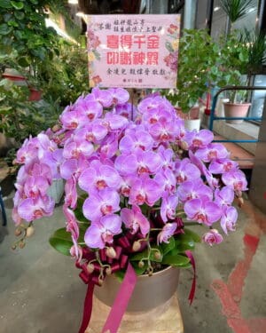 艋舺龍山寺註生娘娘還願蘭花