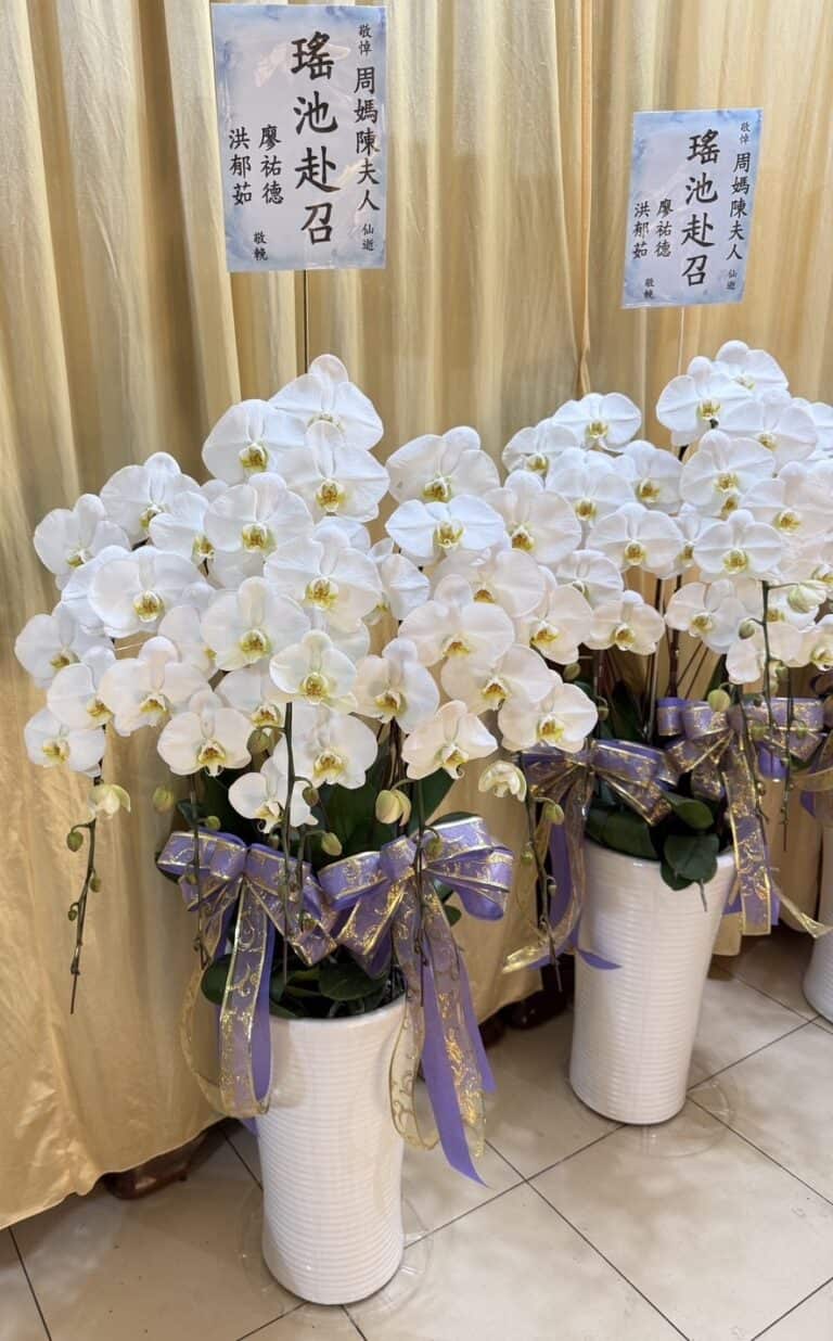 安靈蘭花一對