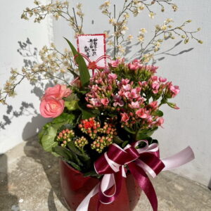 過年喜氣盆栽香水文心