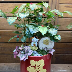 過年盆栽招財貓旺旺樹