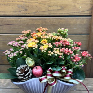 過年盆栽長壽花02