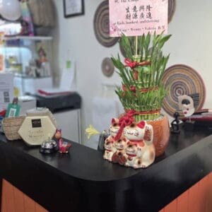 開運竹盆栽31 店面開幕招財人氣開運竹一盆