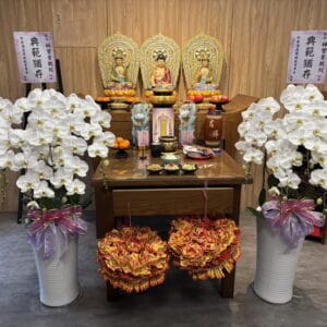 麗緻文化會所安靈蘭花